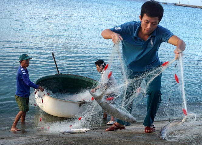 Một ngày đầu năm ở đảo Sinh Tồn - ảnh 2
