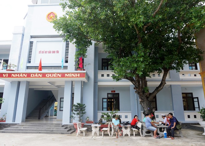 Cận cảnh bốn cây di sản Việt Nam ở Trường Sa - ảnh 11