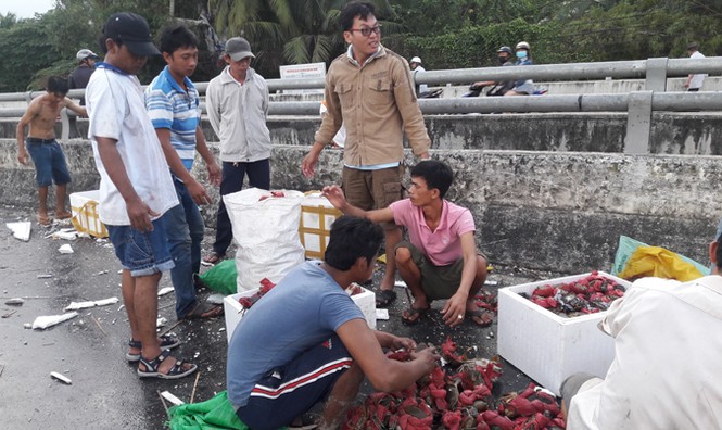 Lật xe tải, hàng chục tấn cua bò lổm ngổm trên đường - ảnh 1