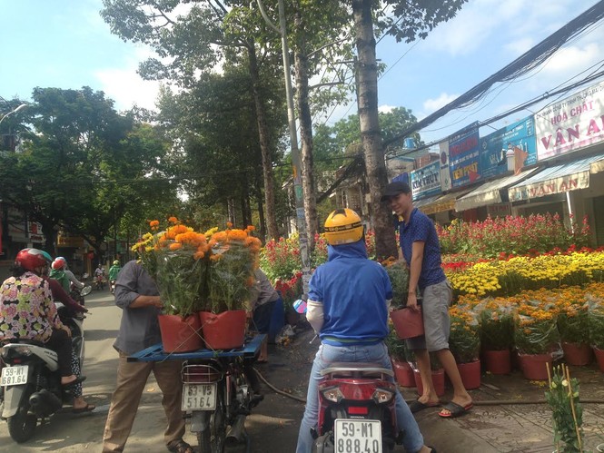 Hoa tết ở TPHCM bắt đầu “sổ” hàng - ảnh 2
