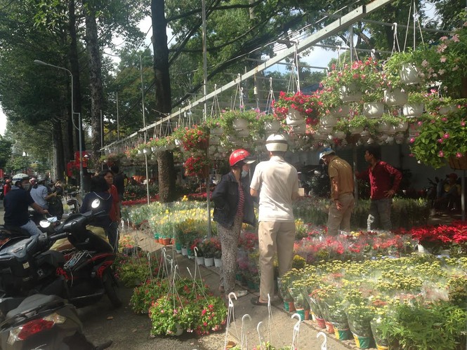 Hoa tết ở TPHCM bắt đầu “sổ” hàng - ảnh 3