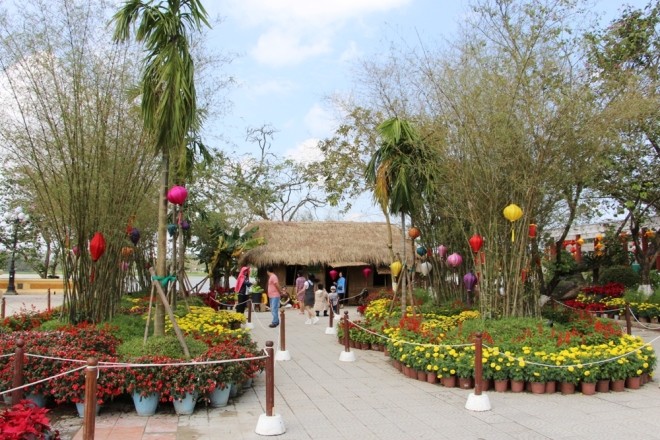 Đàn gà khổng lồ bên dòng sông Hương - ảnh 7