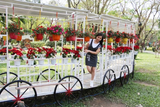 Đàn gà khổng lồ bên dòng sông Hương - ảnh 9
