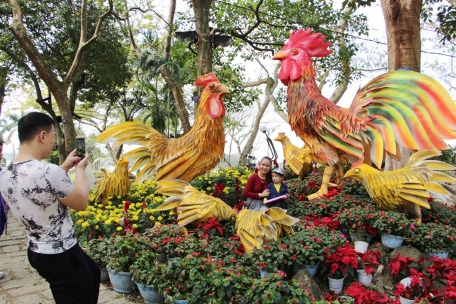 Đàn gà khổng lồ bên dòng sông Hương - ảnh 5