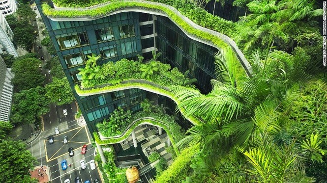 Ông Lý Quang Diệu: Nếu không xấu hổ thì không thể có học thức, văn hóa - ảnh 2