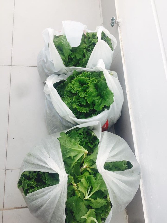 lý hải minh hà - ảnh 19