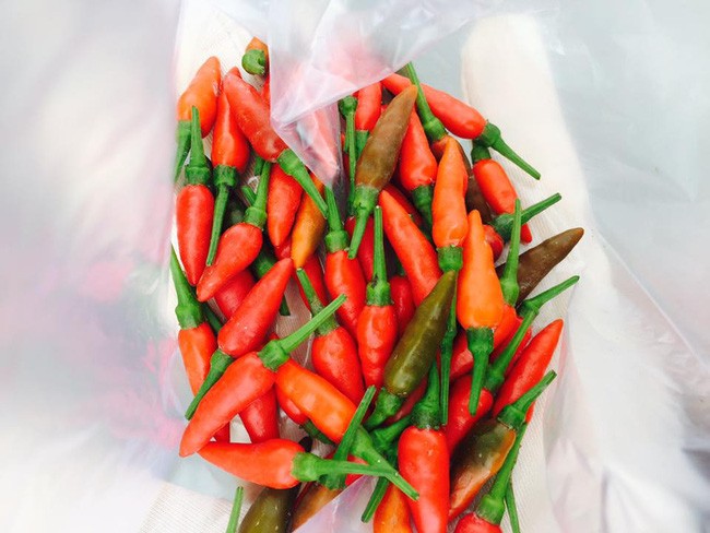 lý hải minh hà - ảnh 20