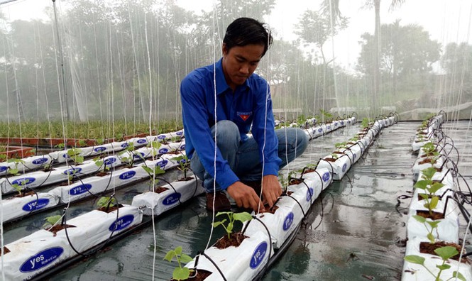 Phát động Hành trình khởi nghiệp Việt Nam - ảnh 1