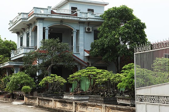 Choáng với 'làng mẹo' có hơn 100 tỉ phú ở Thái Bình - ảnh 8