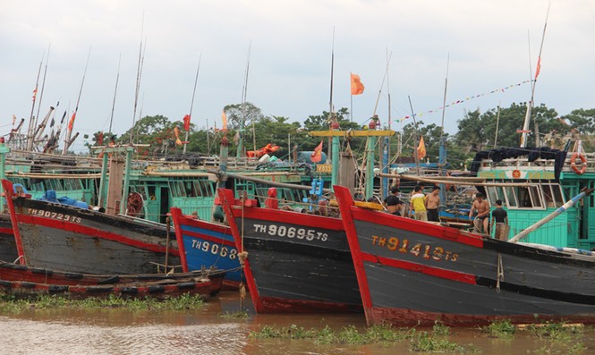 Hà Tĩnh-Thanh Hóa lên phương án sơ tán dân tránh bão - ảnh 3