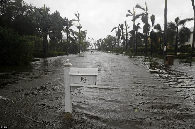 Siêu bão Irma đổ bộ, gần 6 triệu người Mỹ mất điện sinh hoạt - ảnh 3