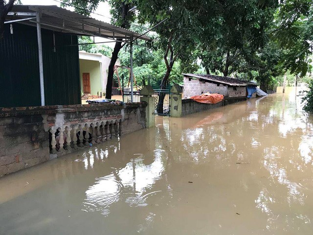 Sạt lở đất đá vùi lấp nhà sàn gỗ tiền tỷ ở Nghệ An - ảnh 7