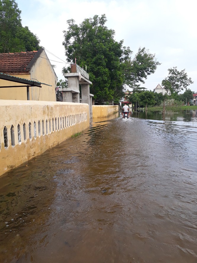 Thanh Hóa: Nước lũ vẫn ngập trường, học sinh chưa thể trở lại lớp - ảnh 2