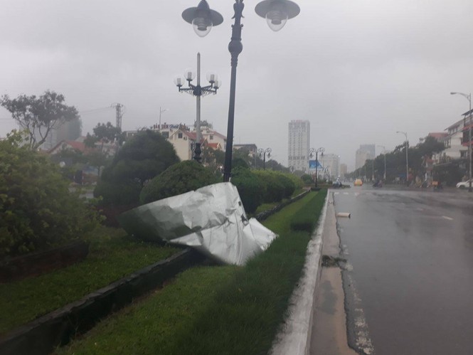 bão số 12 - ảnh 2