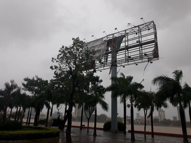 bão số 12 - ảnh 5
