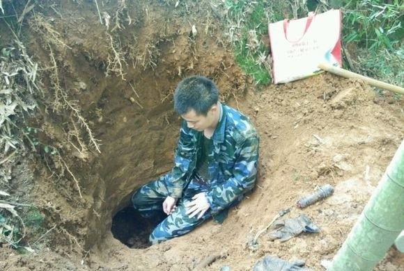 Đào ổ kiến sâu dưới lòng đất bất ngờ phát hiện giống nấm quý hiếm - ảnh 1