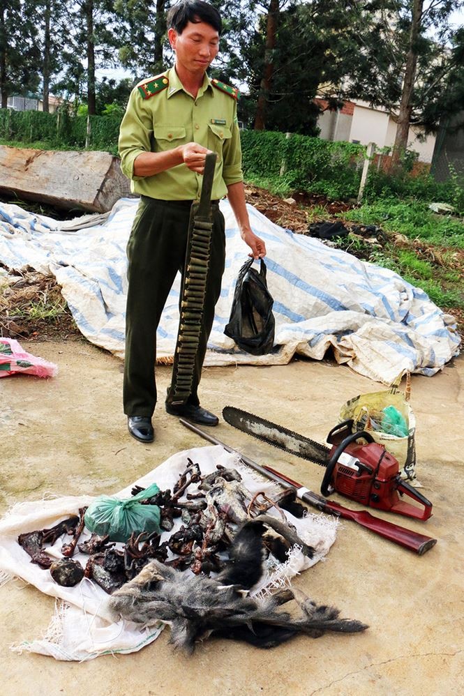 săn voọc chà vá - ảnh 2