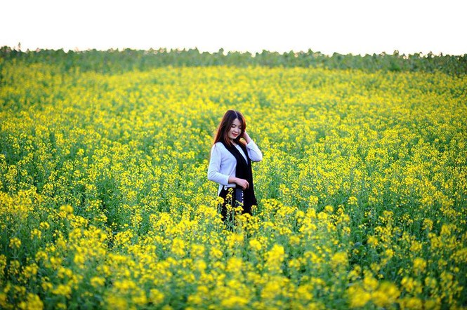 Những địa điểm chụp hoa cải đẹp tại Hà Nội giới trẻ phải biết - ảnh 3