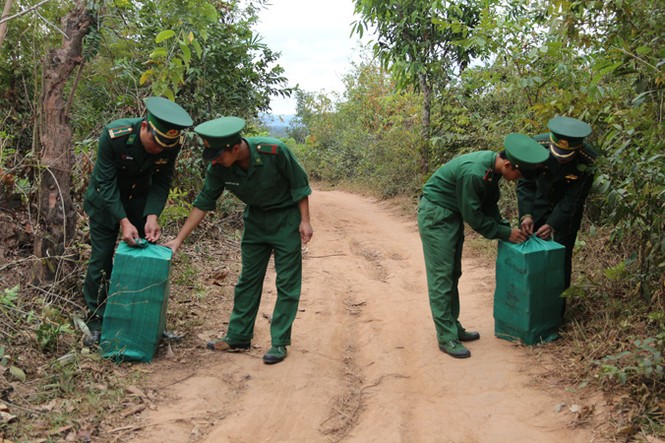 Bắt 2 vụ vận chuyển pháo lậu tại vùng biên Quảng Trị - ảnh 1