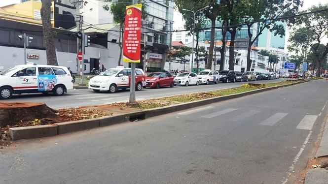Bí ẩn người đặt hoa hồng trên mỗi gốc cây bị chặt ở Sài Gòn - ảnh 3