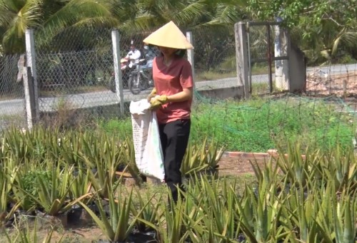Cô gái đoạt 100 triệu đồng 'Thách thức danh hài' có gia cảnh khó khăn - ảnh 2