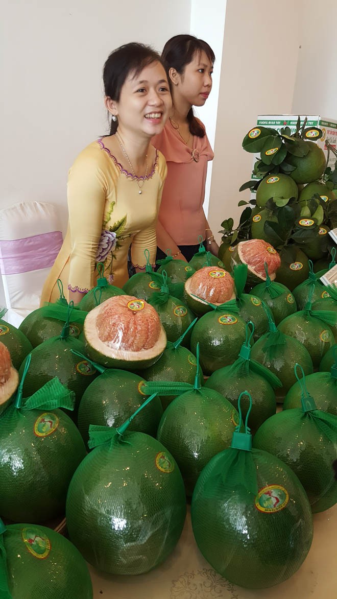 Đặc sản bưởi da xanh và dừa xiêm xanh có chỉ dẫn địa lý - ảnh 1