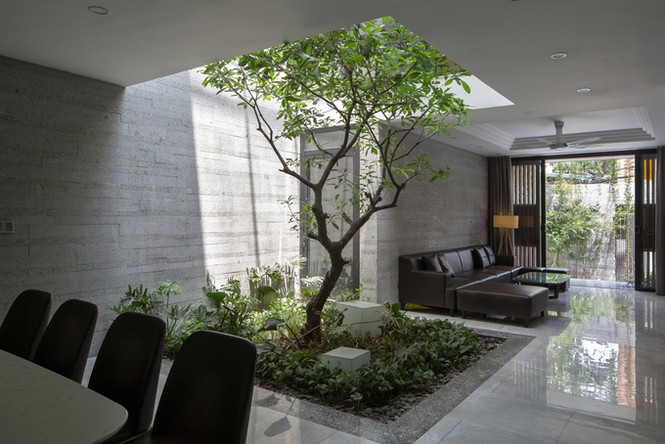 biệt thự xanh mướt ở Hà Nội - ảnh 4