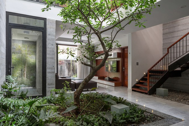 biệt thự xanh mướt ở Hà Nội - ảnh 5
