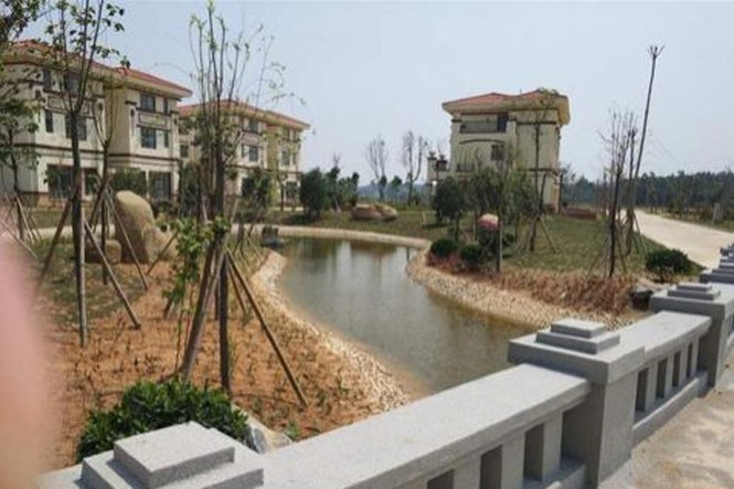 Tặng hơn 200 biệt thự sang cho dân làng, nhưng không một ai đến ở - ảnh 2
