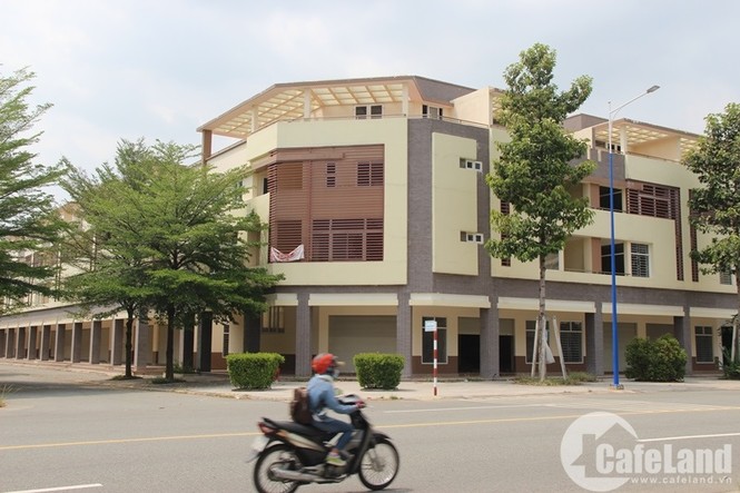 Xót lòng nhà tiền tỷ nằm phơi sương ở Bình Dương - ảnh 1