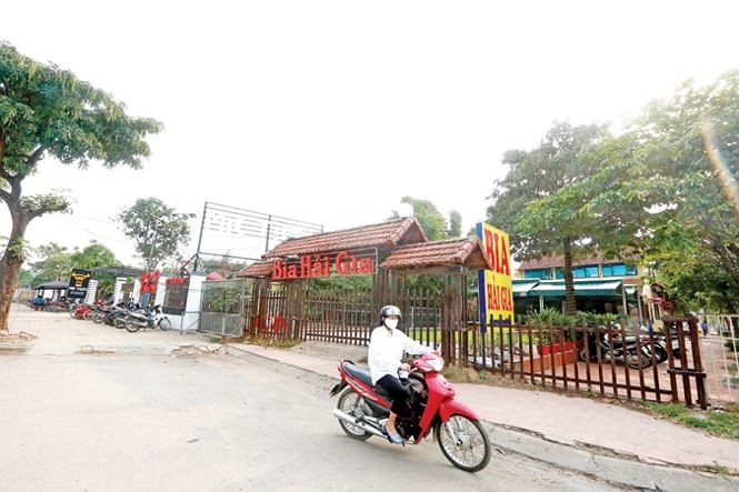 Siết phân lô bán nền trái phép, hủy bán hơn 30 ha đất công giá 'bèo' - ảnh 3