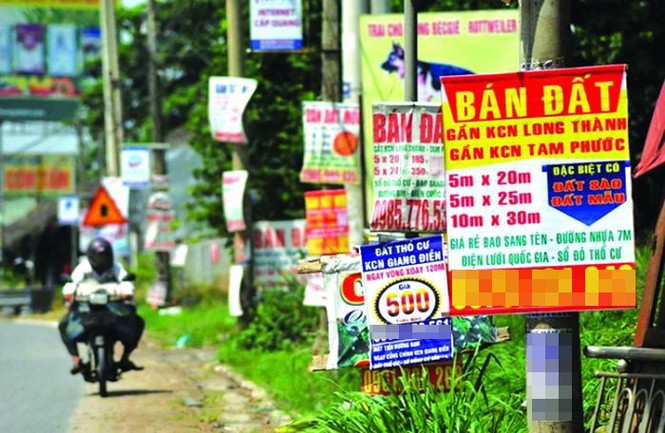 Siết phân lô bán nền trái phép, hủy bán hơn 30 ha đất công giá 'bèo' - ảnh 4