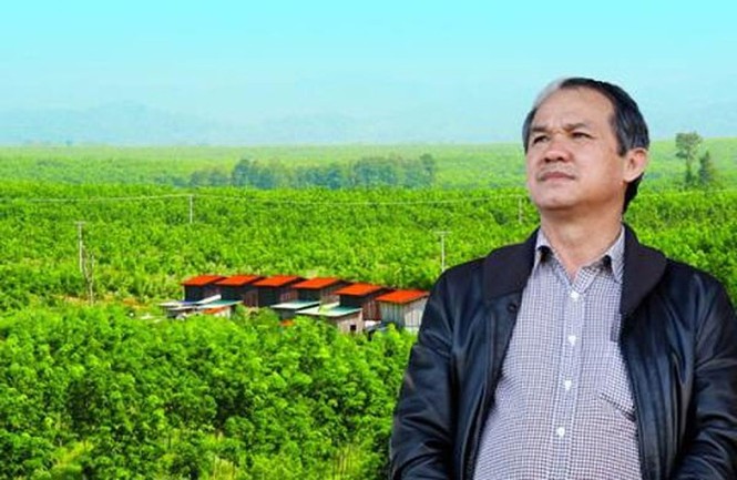 Lãi khủng nhờ ớt, bầu Đức muốn vay nợ hơn 2.200 tỉ - ảnh 1