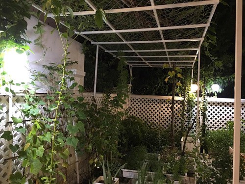 Biệt thự sang chảnh của vợ chồng Công Vinh - Thủy Tiên - ảnh 5