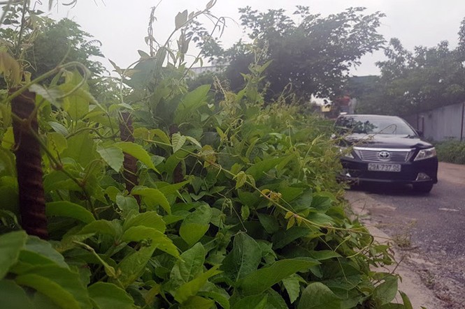 Kiểm tra bãi xe lậu trên khu đất 10.000m2 giữa Thủ đô - ảnh 6