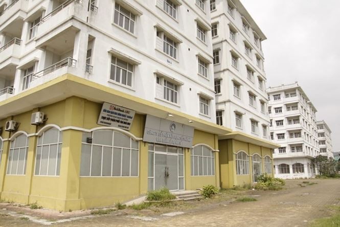 Thâu tóm 'đất vàng' HTX giá rẻ, đại gia chi 30 tỷ xây nhà gỗ 'khủng' - ảnh 2