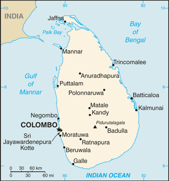 Sri Lanka: Hơn 200 người mất tích do sạt lở đất - ảnh 1