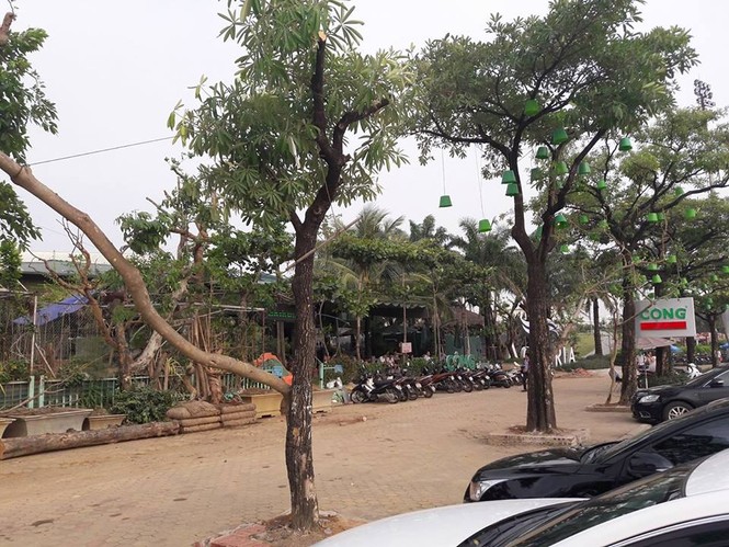 Tổ hợp thể thao triệu đô Mỹ Đình bị 'băm nát' vì vi phạm - ảnh 3