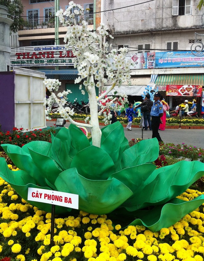Đường hoa Xuân Cần Thơ hướng về biển Đông - ảnh 7
