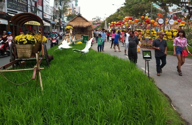 Đường hoa Xuân Cần Thơ hướng về biển Đông - ảnh 9