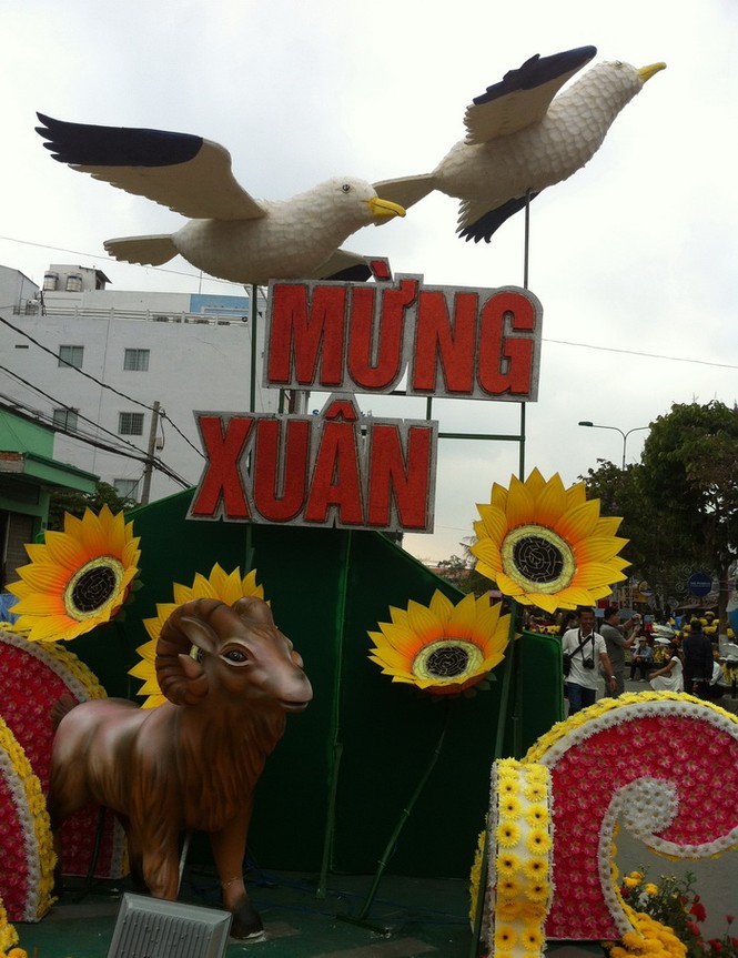 Đường hoa Xuân Cần Thơ hướng về biển Đông - ảnh 11