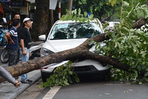 Bão số 3 vào Hà Nội suy yếu thành áp thấp nhiệt đới - ảnh 22