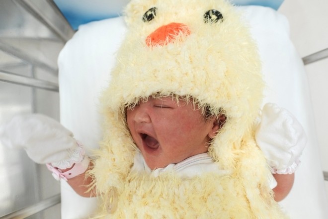 Trẻ sơ sinh mặc đồ con gà đón Tết tại bệnh viện Thái Lan - ảnh 1