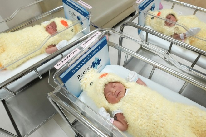 Trẻ sơ sinh mặc đồ con gà đón Tết tại bệnh viện Thái Lan - ảnh 3