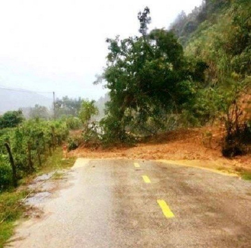 Lũ quét, sạt lở đất ở nhiều địa phương của Nghệ An - ảnh 1