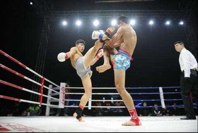 Phi Long: 'Đệ nhất Thái Cực quyền' Trung Hoa - ảnh 2