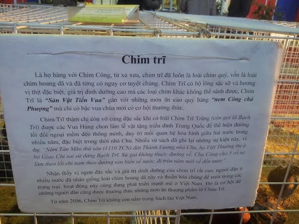 Hét giá gà độc, chim lạ tiền triệu vẫn đắt khách - ảnh 3