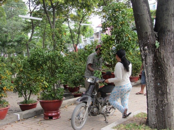 Dịch vụ chở thuê hốt bạc ngày cận Tết - ảnh 1