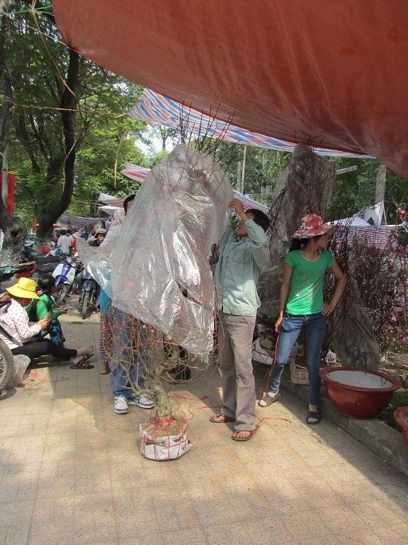 Dịch vụ chở thuê hốt bạc ngày cận Tết - ảnh 3
