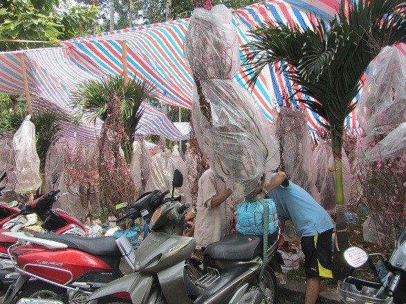 Dịch vụ chở thuê hốt bạc ngày cận Tết - ảnh 4